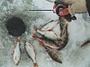 Прошел открытый чемпионат Уватского района по ловле на мормышку со льда